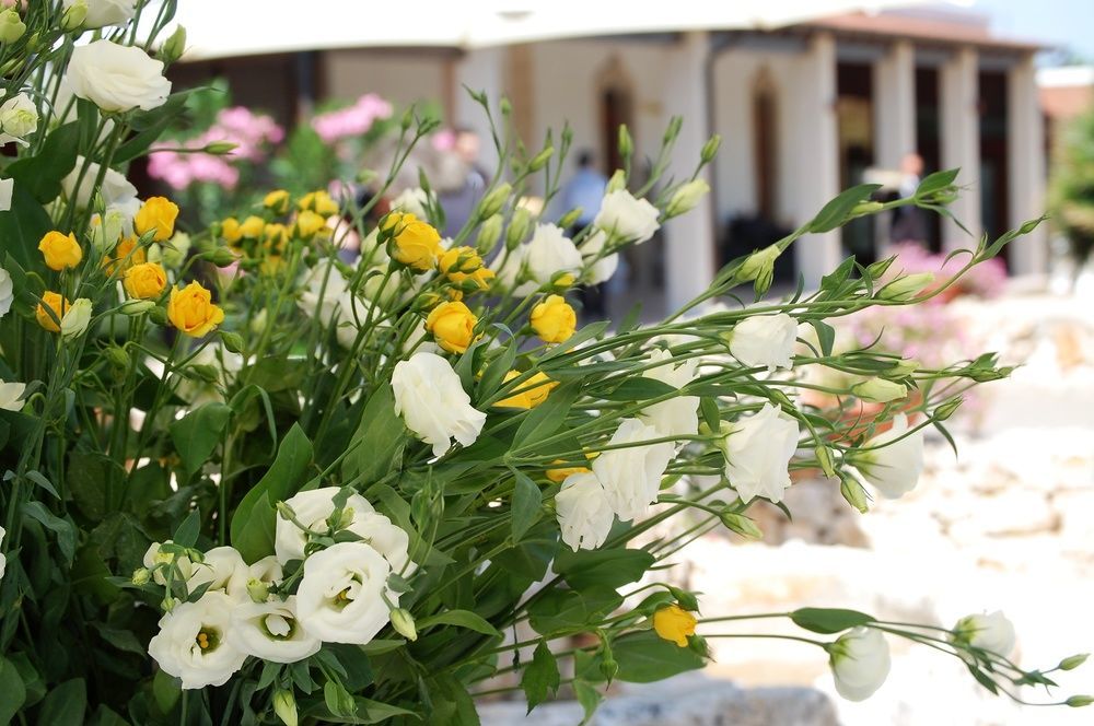 فندق Masseria La Grande Quercia موتولا المظهر الخارجي الصورة